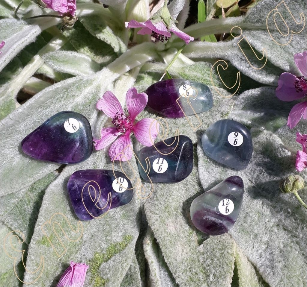 Fluorite arc-en-ciel, Chine, 5 à 9,9g 7 à 12b
