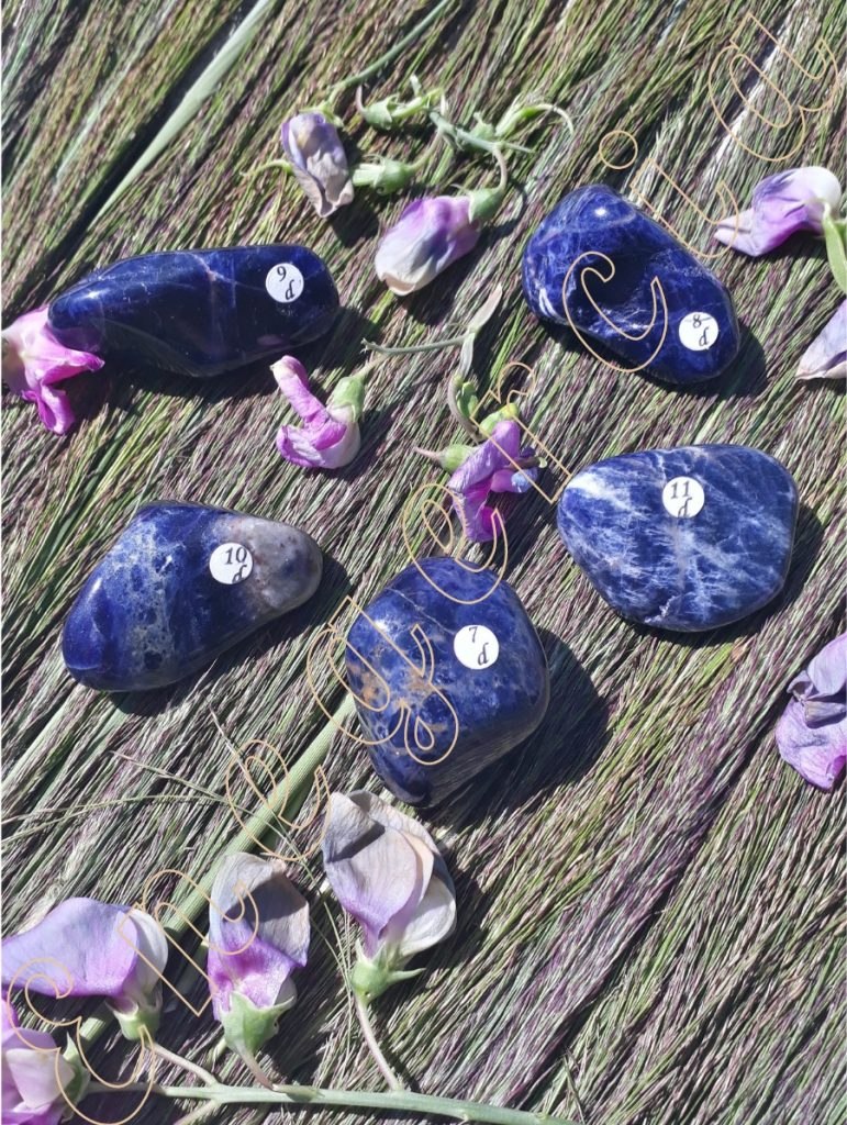 sodalite-de-Namibie-de-20-a-29.9g-7-a-11d-adelyne-enegercia