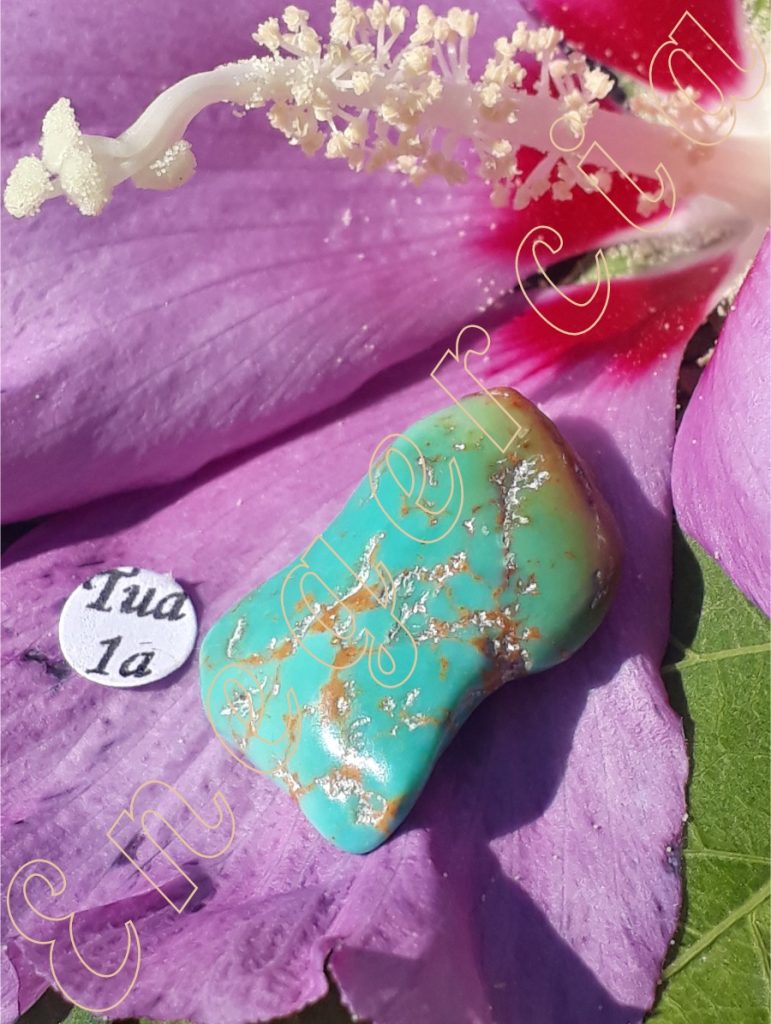turquoise-stabilisee-arizona-adelyne-enegercia-tua-1a-1