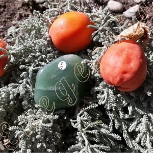 aventurine-verte-roulee-Bresil