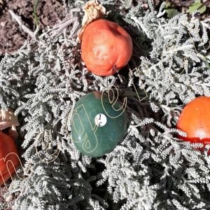 aventurine-verte-roulee-bresil-10-a-20g