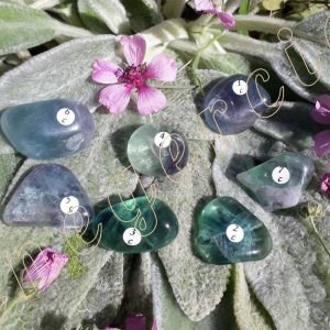 fluorite-arc-en-ciel-Chine-10-a-19.9g-adelyne-enegercia