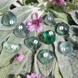 fluorite-verte-chine-5-a-9.9-adelyne-enegercia