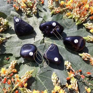 onyx-d-inde-de-30-a-39.9g-1-a-5e-adelyne-enegercia