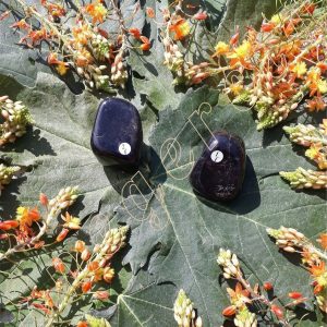 onyx-d-inde-de-40-a-49.9-adelyne-enegercia