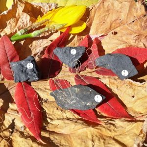 shungite-brute-de-Carelie-russie-10-a-19.9g-adelyne-enegercia