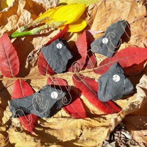 shungite-brute-de-Carelie-russie-20-a-29.9g-adelyne-enegercia