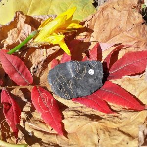 shungite-brute-de-Carelie-russie-50-a-59.9g-adelyne-enegercia