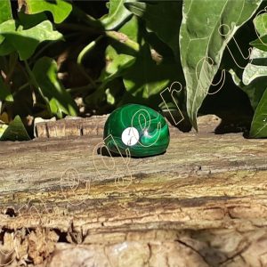 Malachite-polie-de-Kolwezi-au-Congo-20.1g-1d