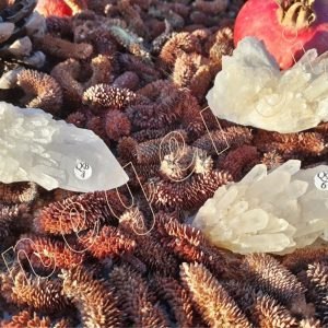 Quartz-bougie-ananas-Madagascar-entre-58-et-61g-qb4g