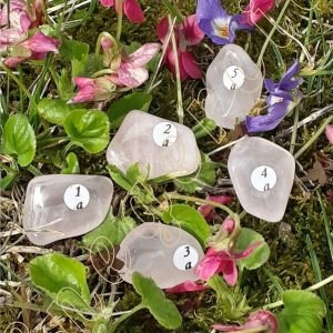 Quartz-rose-roulee-d-Afrique-du-Sud-et-3-a-5g-1-a-5a