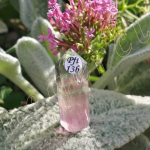 Pointe-fluorite-fl13b-adelyne-enegercia-4