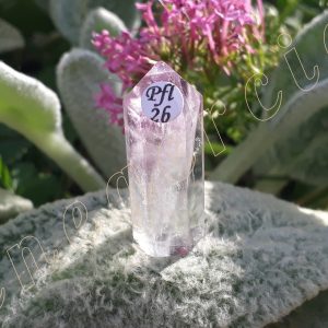 Pointe-fluorite-fl2b-adelyne-enegercia-5
