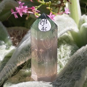 Pointe-fluorite-fl4c-adelyne-enegercia