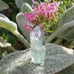 Pointe-fluorite-fl5b-adelyne-enegercia-3