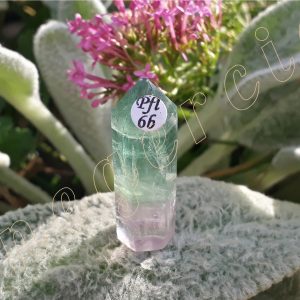 Pointe-fluorite-fl6b-adelyne-enegercia-6