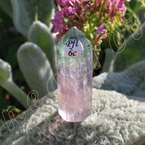 Pointe-fluorite-fl6c-adelyne-enegercia-6
