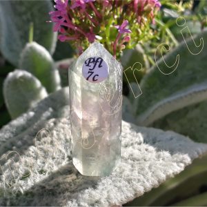 Pointe-fluorite-fl7c-adelyne-enegercia-7