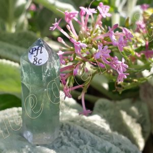 Pointe-fluorite-fl8c-adelyne-enegercia