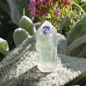 Pointe-fluorite-fl9c-adelyne-enegercia-5