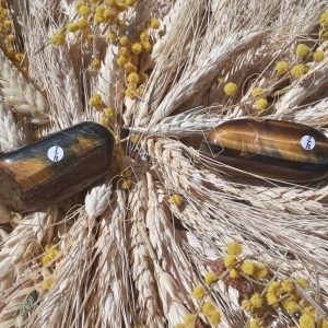 Oeil-faucon-tigre-australie-1-a-2h-adelyne-enegercia