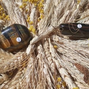 Oeil-faucon-tigre-australie-1-a-2j-adelyne-enegercia-1