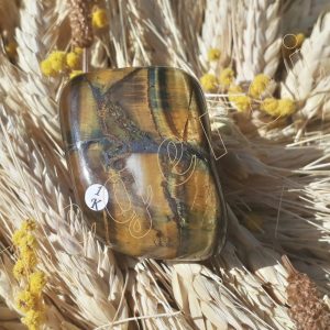 Oeil-faucon-tigre-1k-adelyne-enegercia