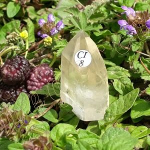 Prisme-citrine-naturelle-de-Madagascar-adelyne-enegercia-ci8