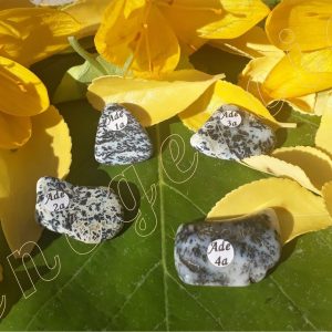 agate-a-dendrites-agate-dendritique-roulees-de-Turquie-adelyne-enegercia-1-a-4a