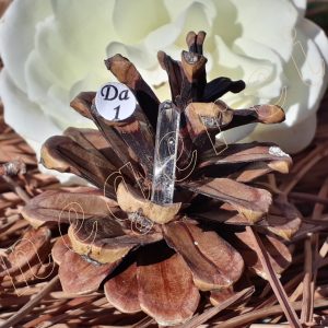 cristal-danburite-termine-mexiqe-adelyne-enegercia-da1
