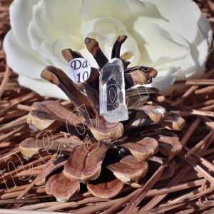 cristal-danburite-termine-mexiqe-adelyne-enegercia-da10-1
