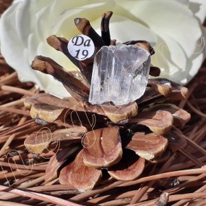 cristal-danburite-termine-mexiqe-adelyne-enegercia-da19