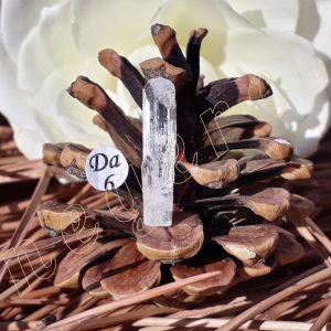 cristal-danburite-termine-mexiqe-adelyne-enegercia-da6-1