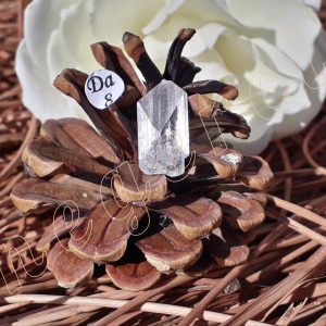 cristal-danburite-termine-mexiqe-adelyne-enegercia-da8