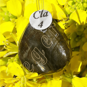 Pendentif-cabochon-labradorite-adelyne-enegercia-cla4-2