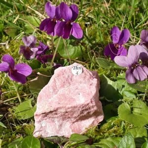 Thulite-brute-Norvege-adelyne-enegercia-thn-4