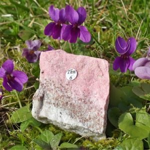 Thulite-brute-Norvege-adelyne-enegercia-thn-6-3