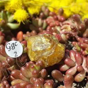 cristaux-grenat-grossulaire-mali-adelyne-enegercia-ggc-2-1