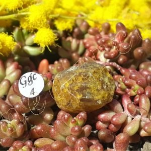 cristaux-grenat-grossulaire-mali-adelyne-enegercia-ggc-4