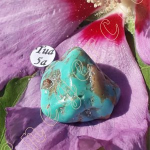 turquoise-stabilisee-arizona-adelyne-enegercia-tua-5a-2