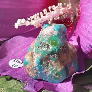 turquoise-stabilisee-arizona-adelyne-enegercia-tua-1c-2
