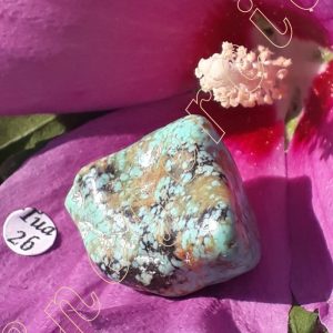 turquoise-stabilisee-arizona-adelyne-enegercia-tua-2b-1