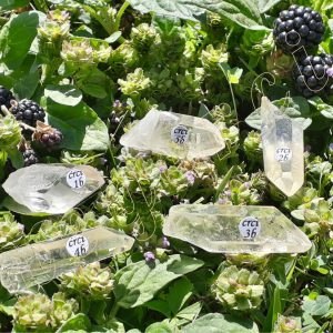 cristaux-de-citrine-termines-du-Bresil-5-a-99g-adelyne-enegercia