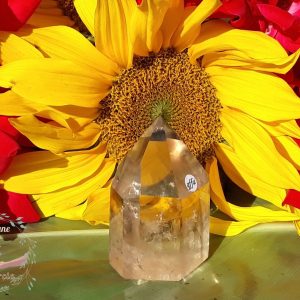 Prisme-ou-pointe-quartz-fume-fantome-qffa-adelyne-enegercia-1