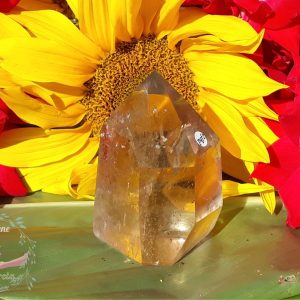 Prisme-ou-pointe-quartz-fume-pqf2-adelyne-enegercia-2