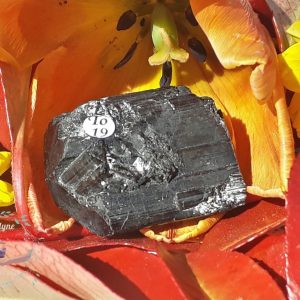 Tourmaline-noire-cristaux-macles-bitermines-Madagascar-To19