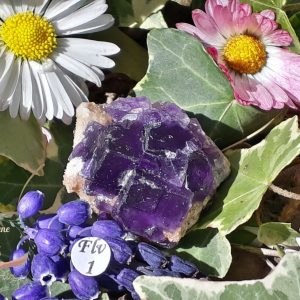 cristaux-fluorite-violette-de-tounfite-maroc-adelyne-enegercia-flv-1