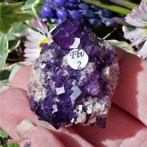 cristaux-fluorite-violette-de-tounfite-maroc-adelyne-enegercia-flv-2