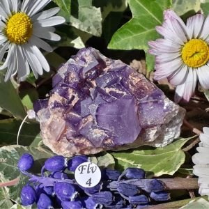 cristaux-fluorite-violette-de-tounfite-maroc-adelyne-enegercia-flv-4