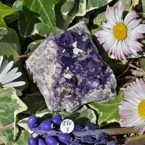 cristaux-fluorite-violette-de-tounfite-maroc-adelyne-enegercia-flv-5
